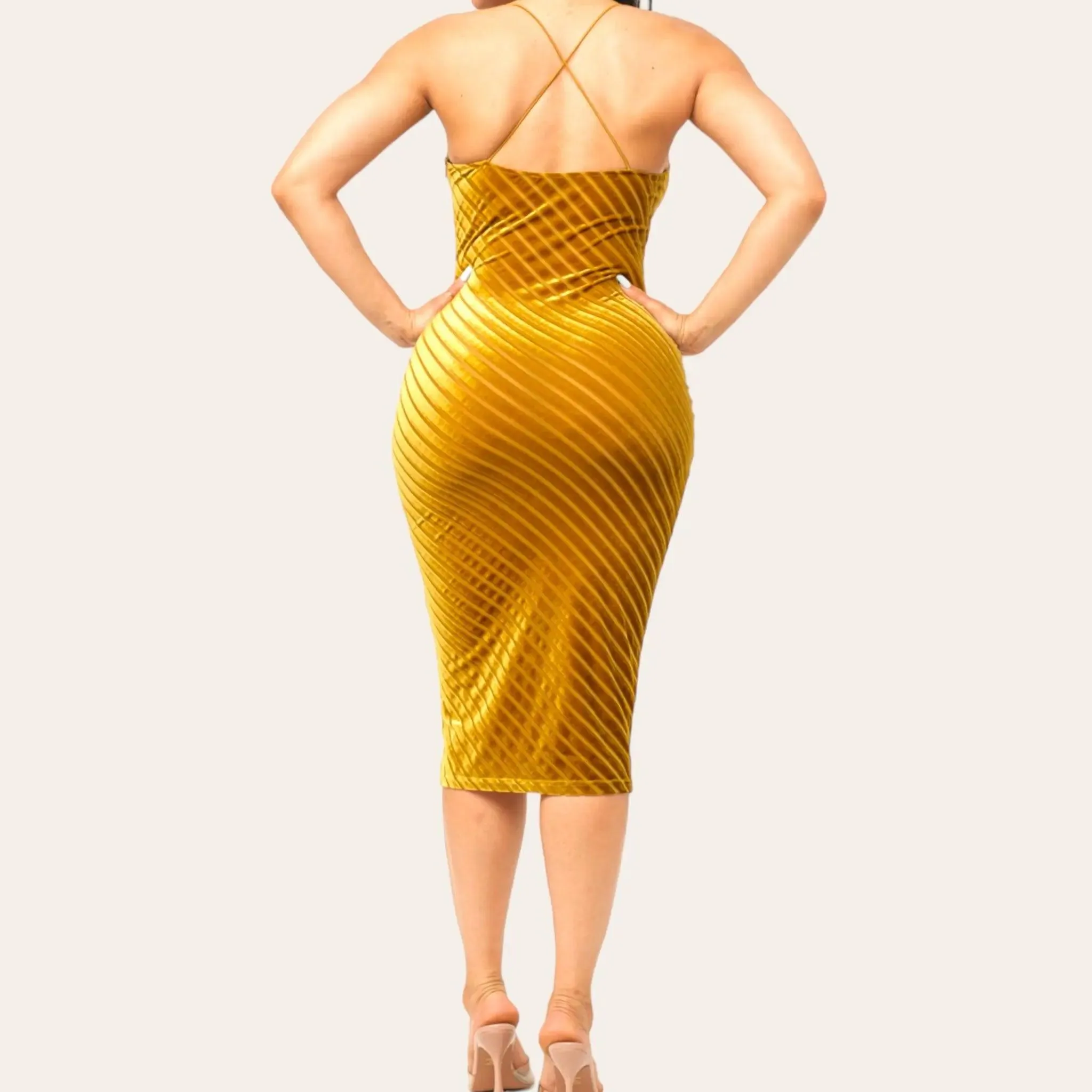 Mimi Mesh Midi Dress