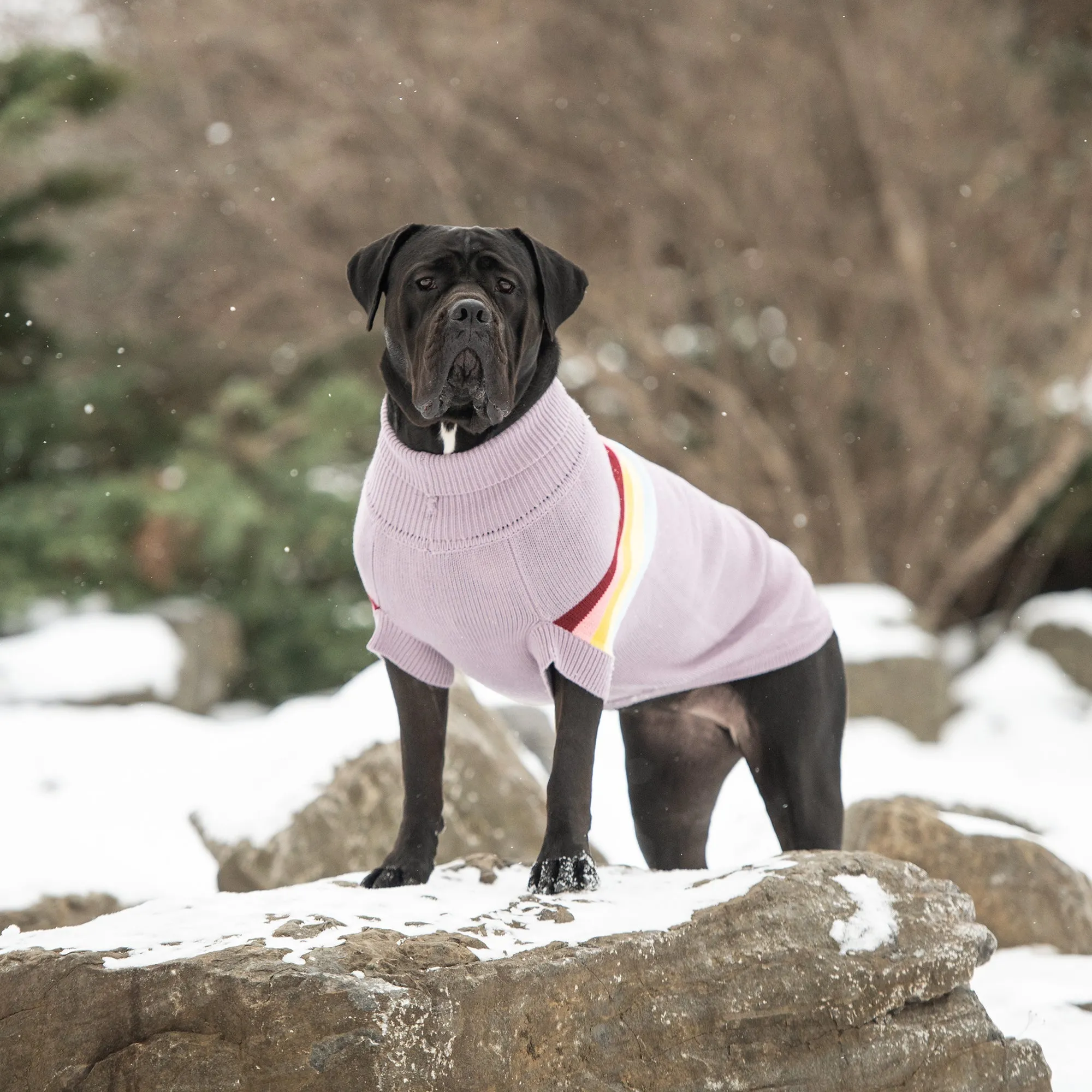 Retro Dog Sweater - Lavender