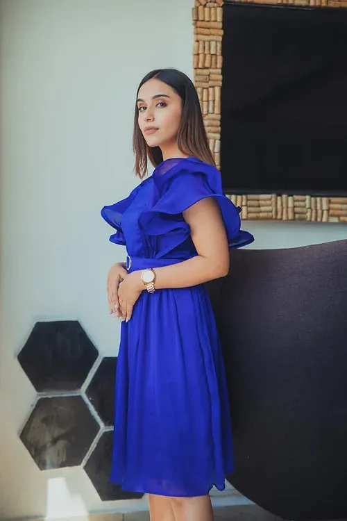 The Trendsetter Blue Dress