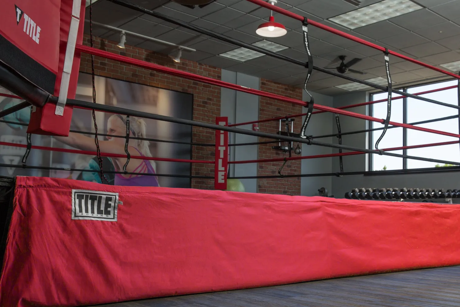 TITLE Boxing Floor Level "Lowboy" Ring Skirts