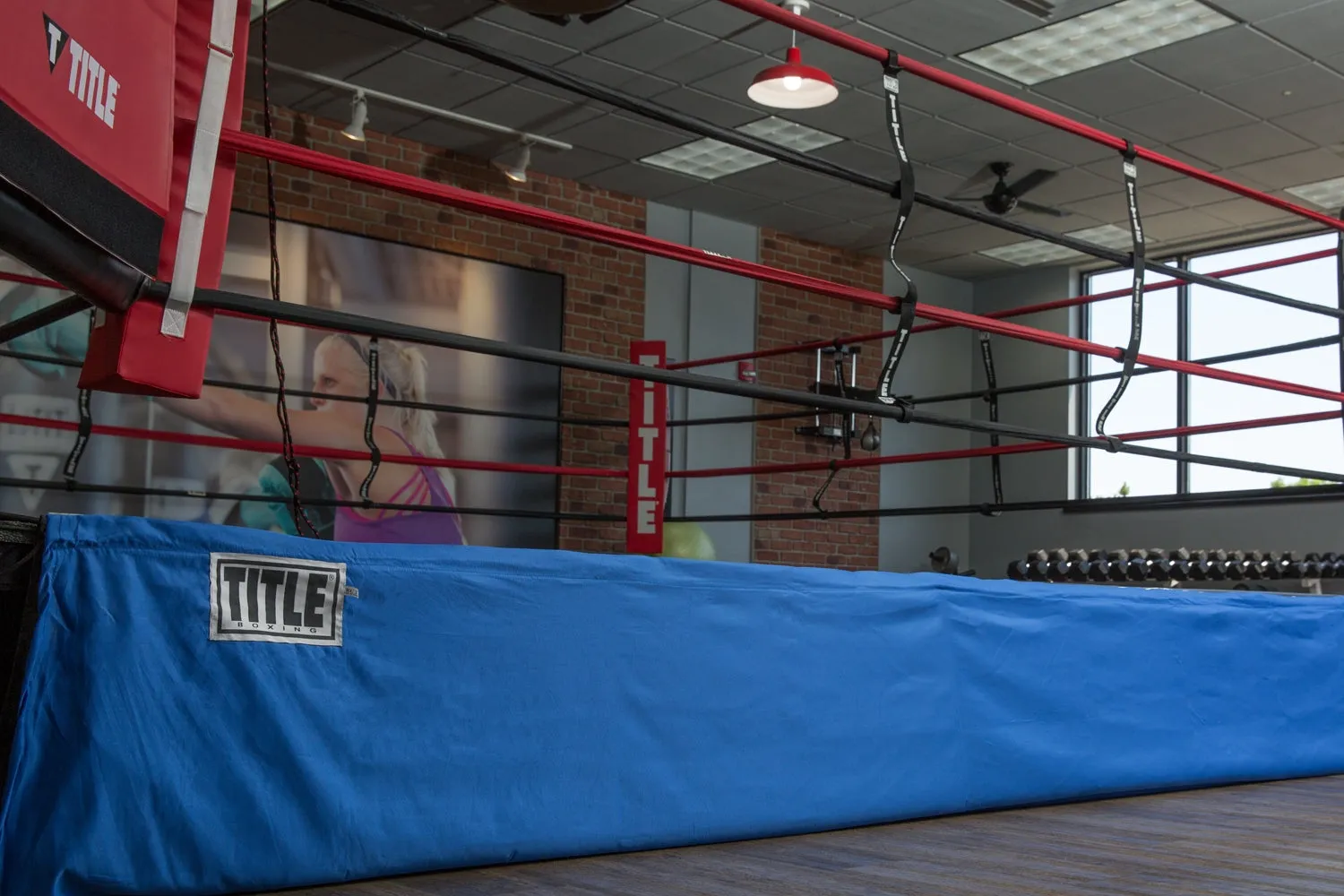 TITLE Boxing Floor Level "Lowboy" Ring Skirts